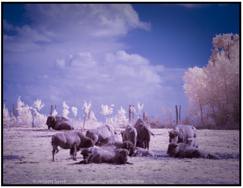 Vogesen & Ardennen-12