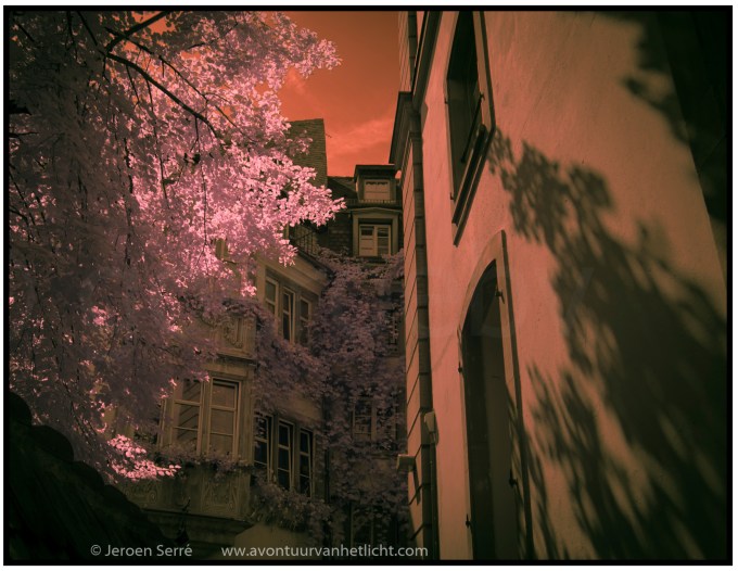 Vogesen & Ardennen-18