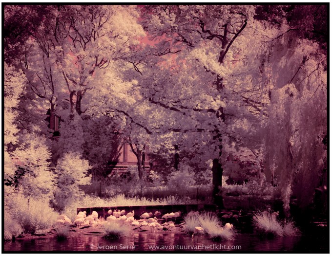 Zomer Sessies 2015-02