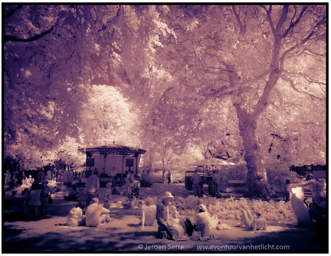 Zomer Sessies 2015-03