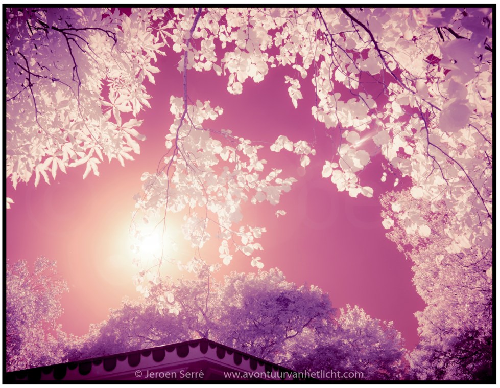 Zomer Sessies 2015-05