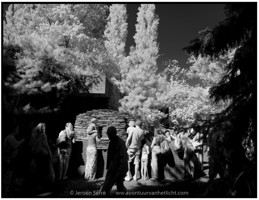 Zomer Sessies 2015-06