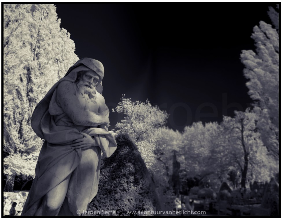 Zomer Sessies 2015-07