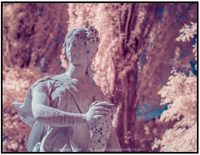 Zomer Sessies 2015-08