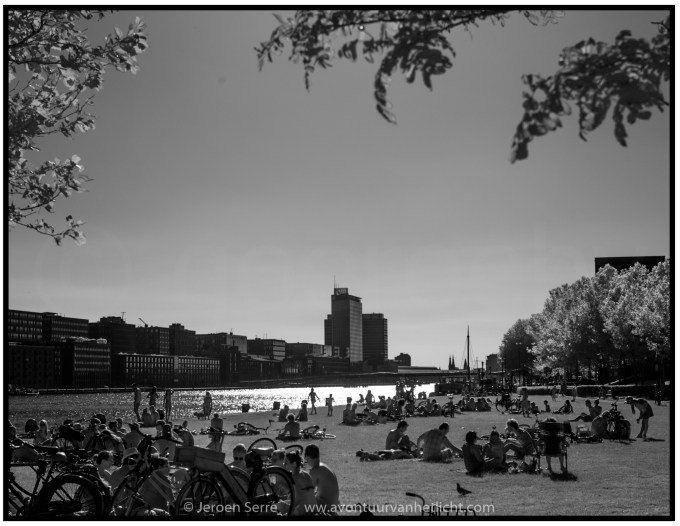 Zomer Sessies 2015-10