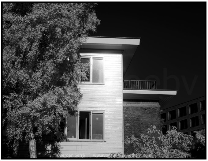 Zomer Sessies 2015-11