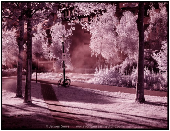 Zomer Sessies 2015-15